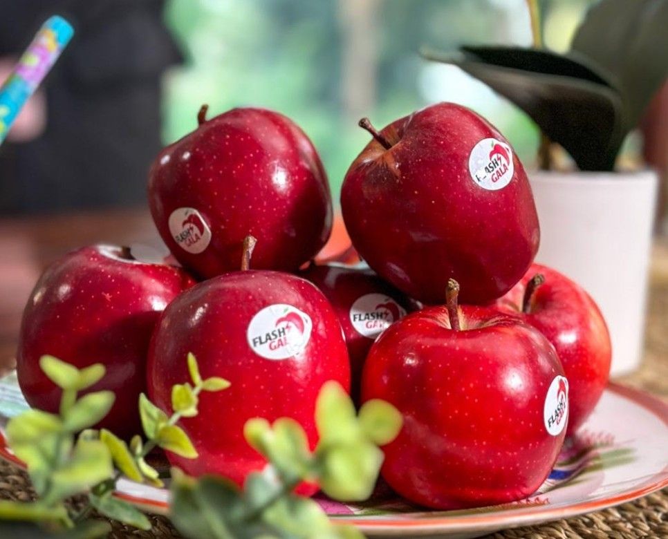 South Africa's Flash Gala apple surpasses one million cartons