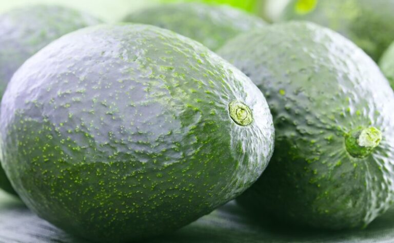 avocado unit sales growth