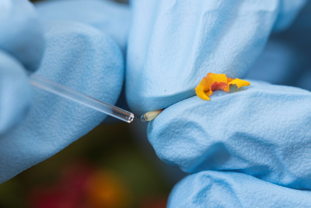 Florida research aims to reduce pollinator exposure to pesticides