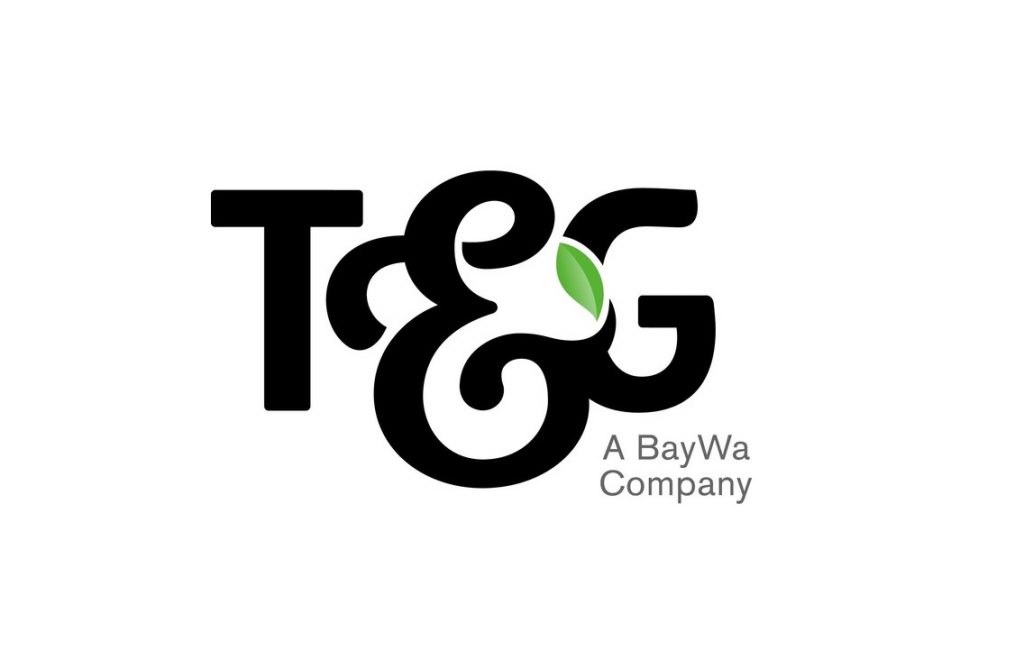 T&G Global explores potential sale amid outside interest T&G Global explores potential sale amid outside interest