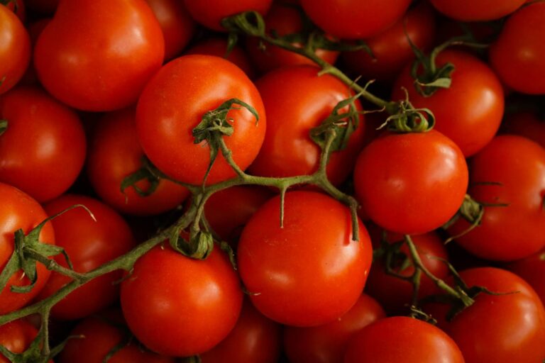Mexican tomato