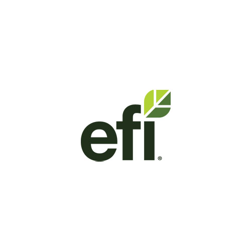 EFI shares toolkit for extreme heat awareness month EFI shares toolkit for extreme heat awareness month