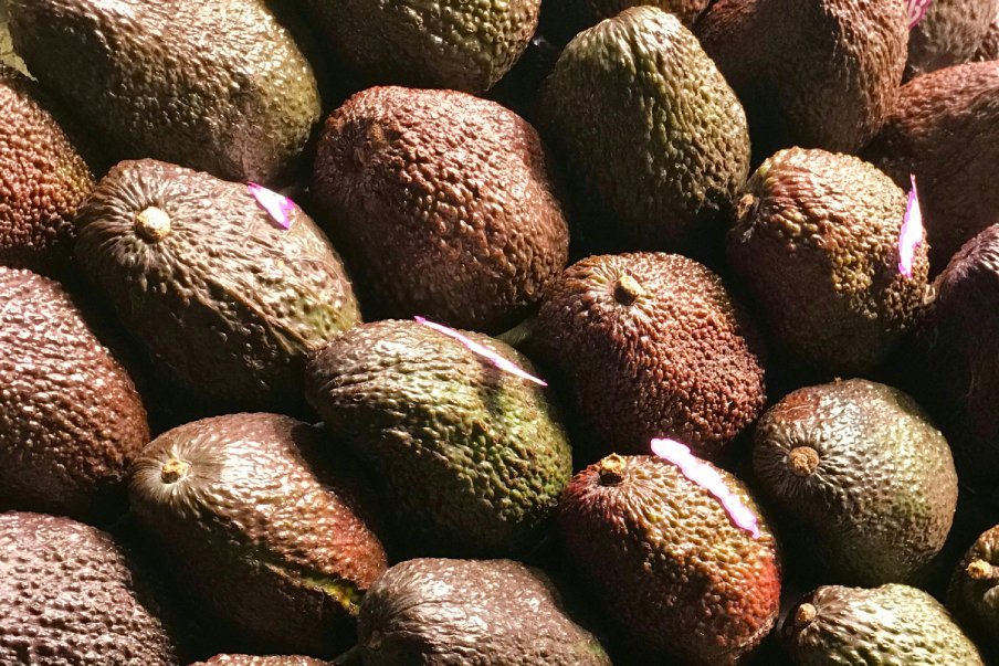Hass avocados score strongest Big Game performance in four years