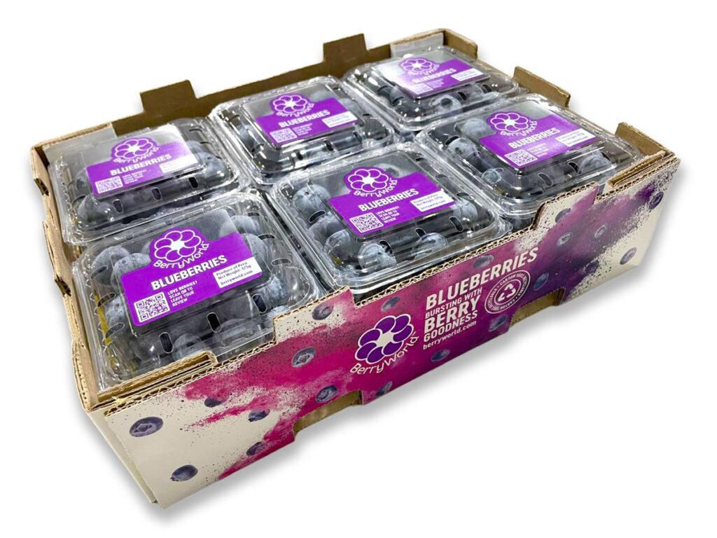 Agroberries Group opens Asia division