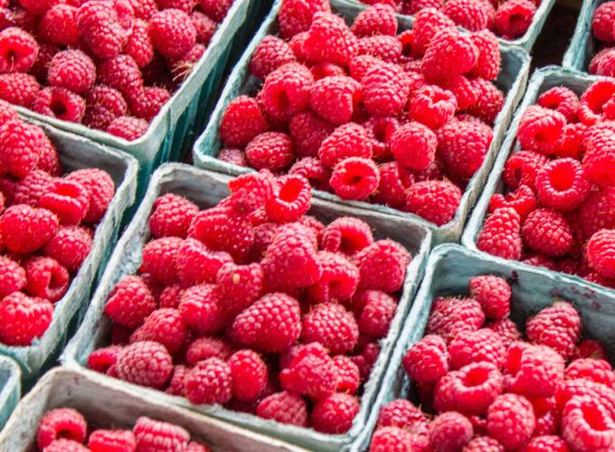 The Mexican raspberry industry strives for market expansion and lawful production