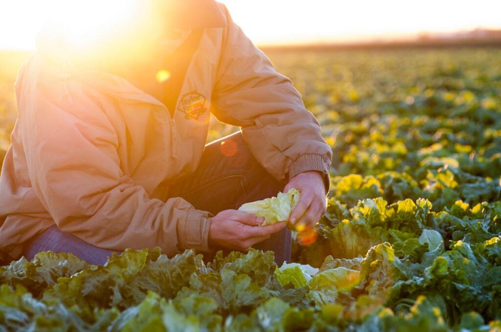 Taylor Farms celebrates the release of its latest impact report 