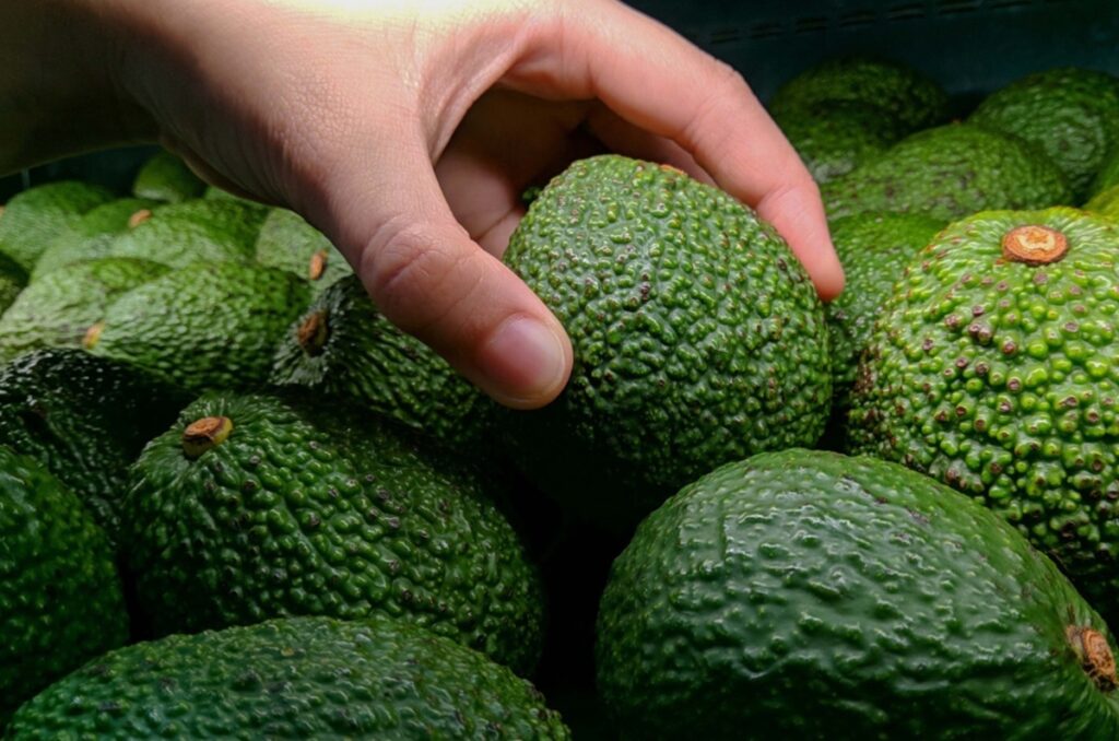 Social media in uproar over alleged cadmium presence in Peruvian avocados