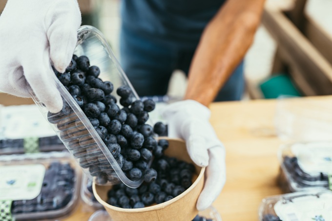 Study shows blueberries may support infant gut health and immune development