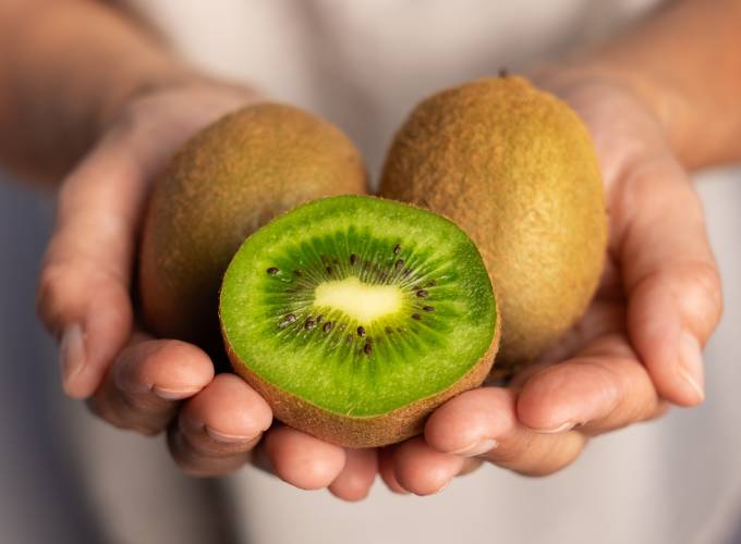 The second life of Chilean kiwifruit—more acres, better quality, and new markets 