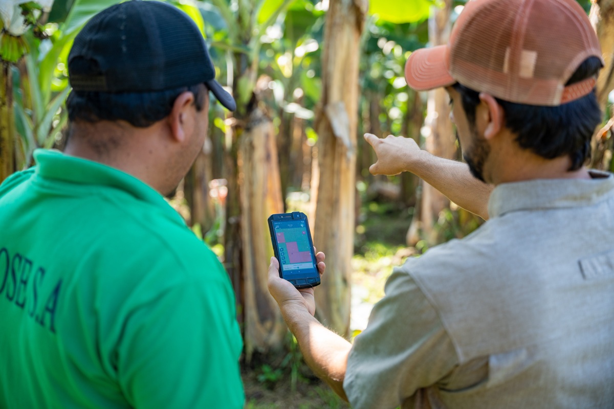 Peter Bentata, VP of production at Compagnie Fruitière, the driver of a deep digital transformation in banana production