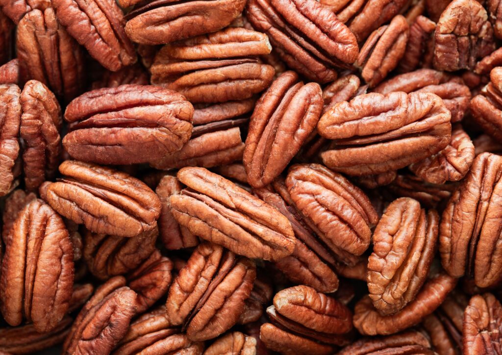 Argentinian shelled pecans will ship to Israel - FreshFruitPortal.com thumbnail