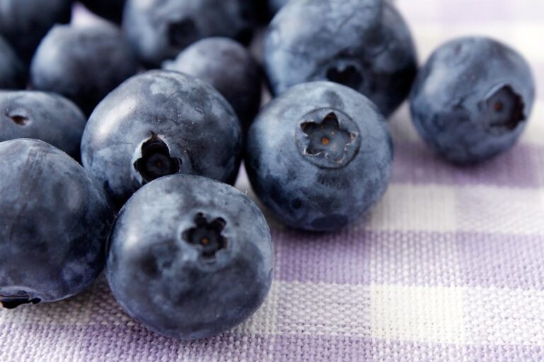 Loose Blueberries on a table usa trade