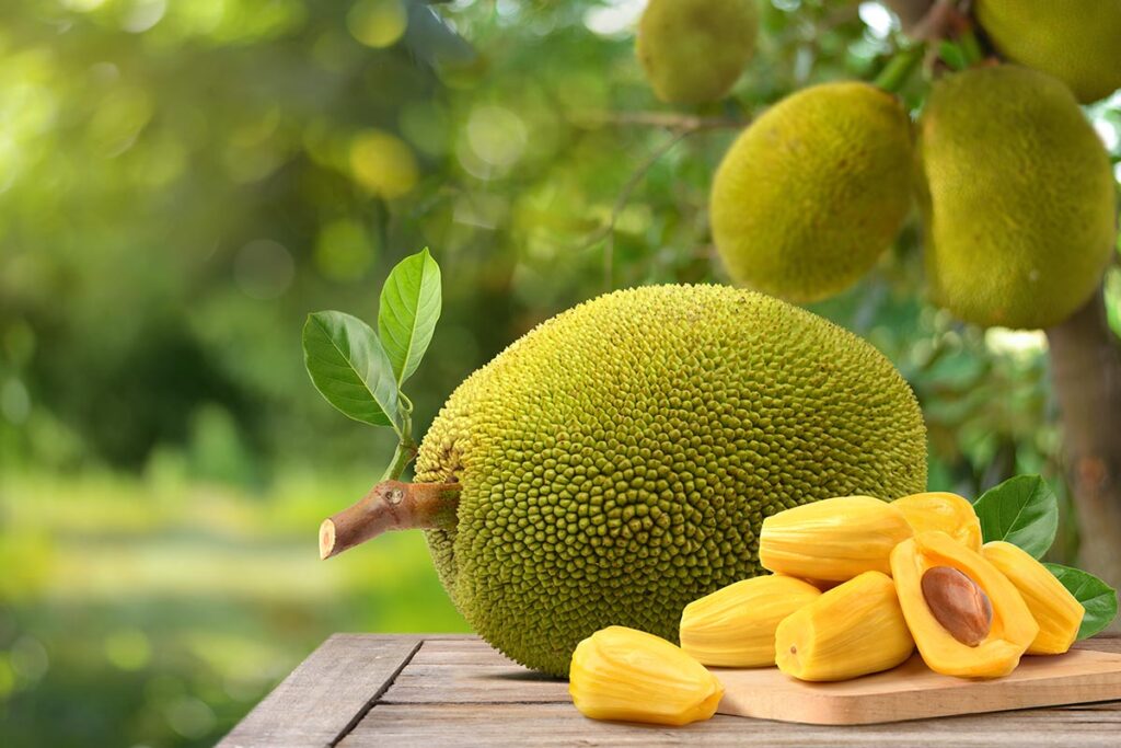 Global jackfruit market to almost double in size by 2033