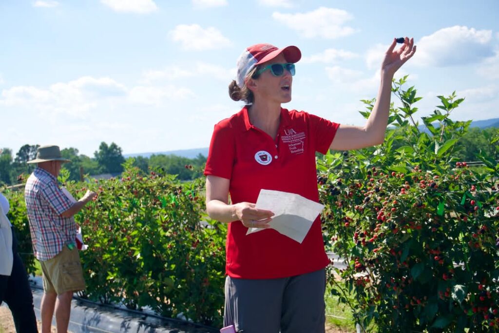 Science is one step closer to prickle-free blackberries