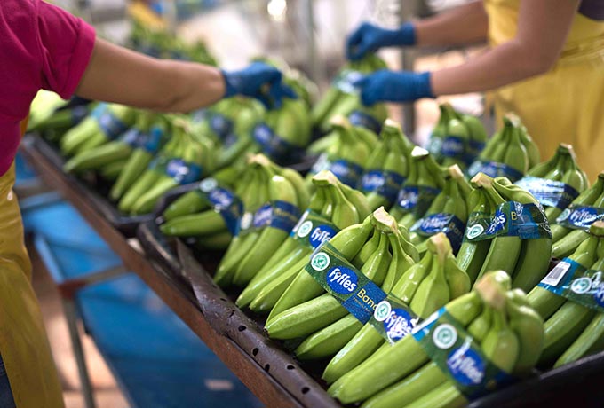 Fyffes bananas