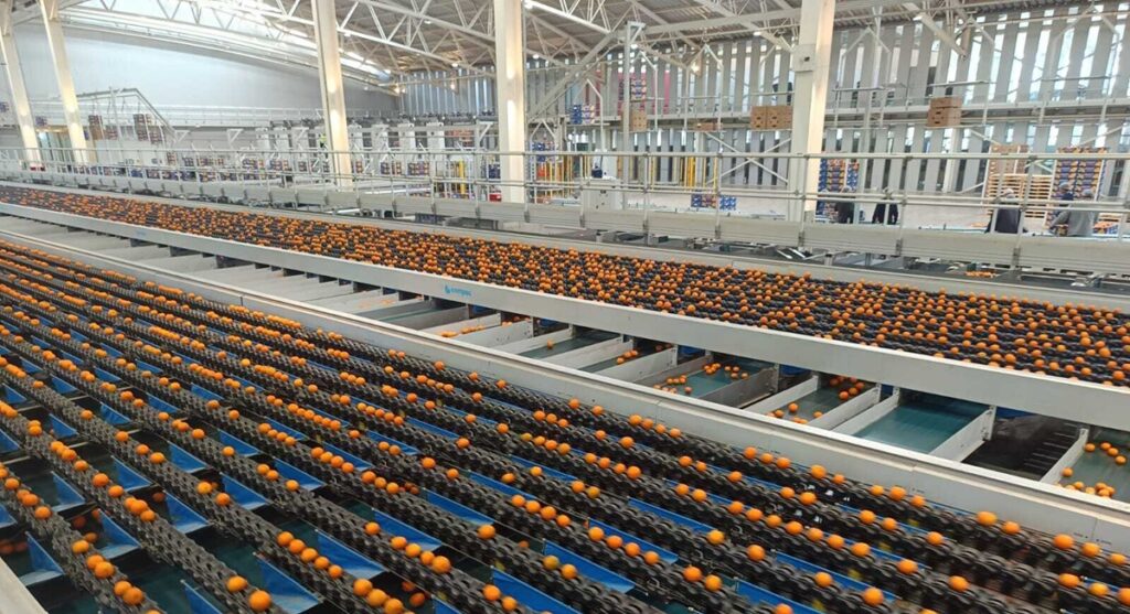 Family-owned Grupo Jorge Schmidt is leading the Chilean fruit industry with record production and a focus on tech and community