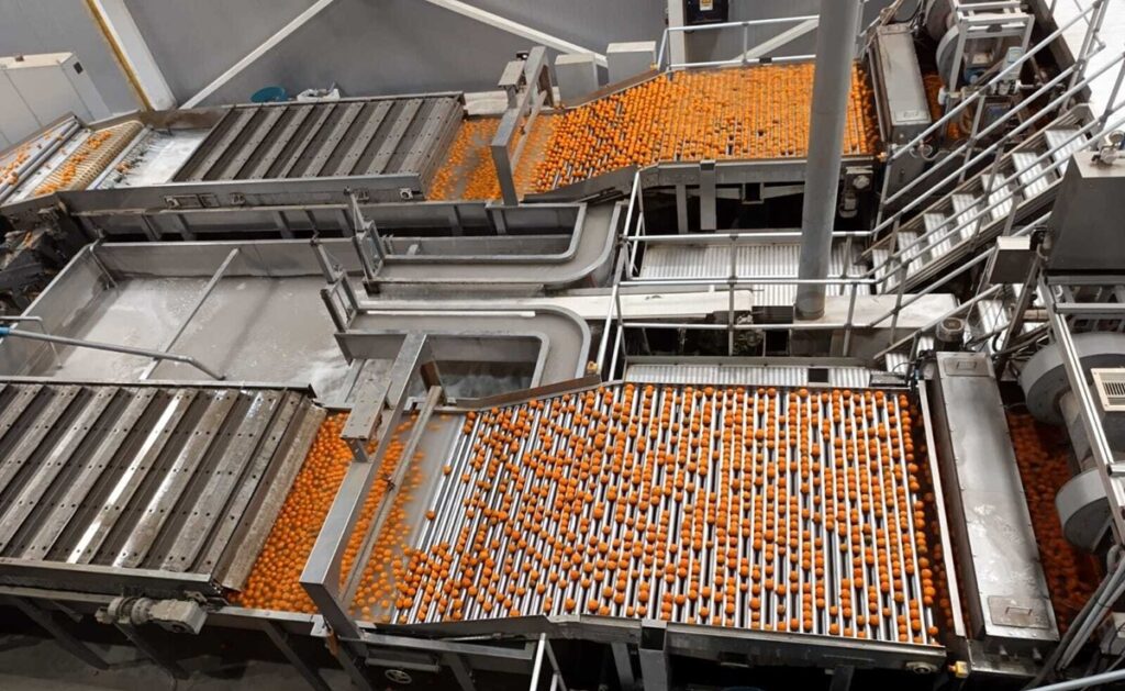 Florida eases orange and grapefruit maturity standards for processing season