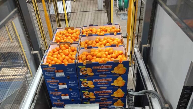 Grupo Jorge Schmidt packing machines