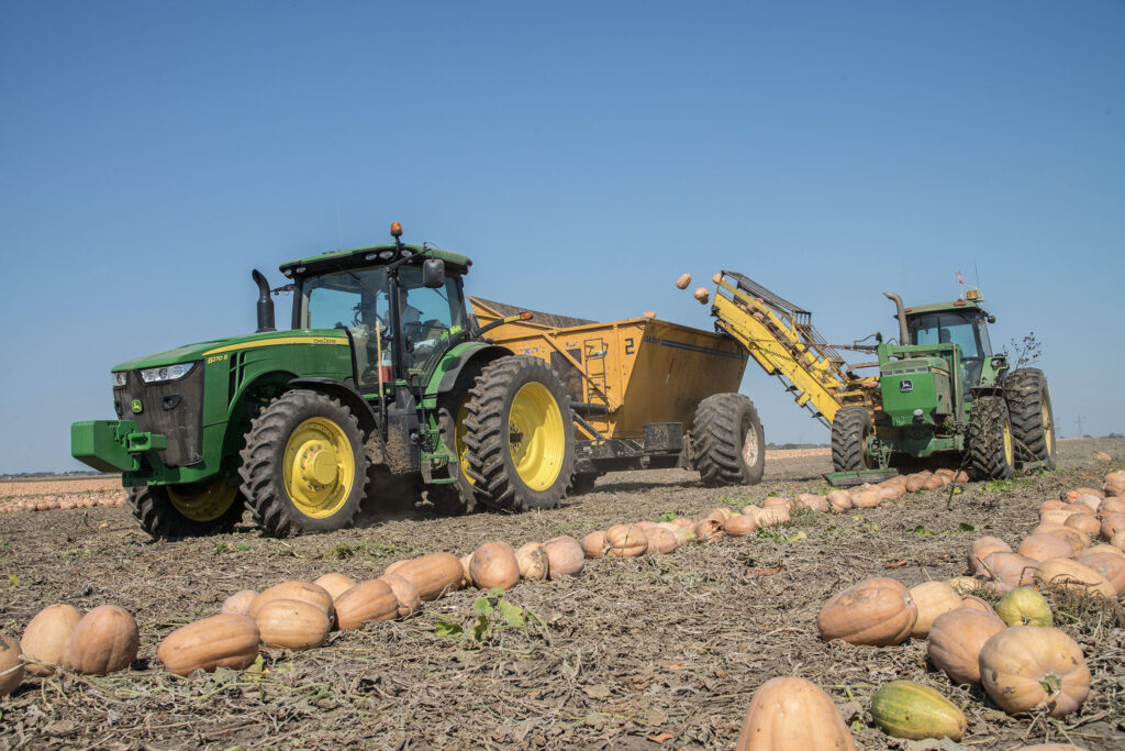 Illinois pumpkin season defies early chills and spills