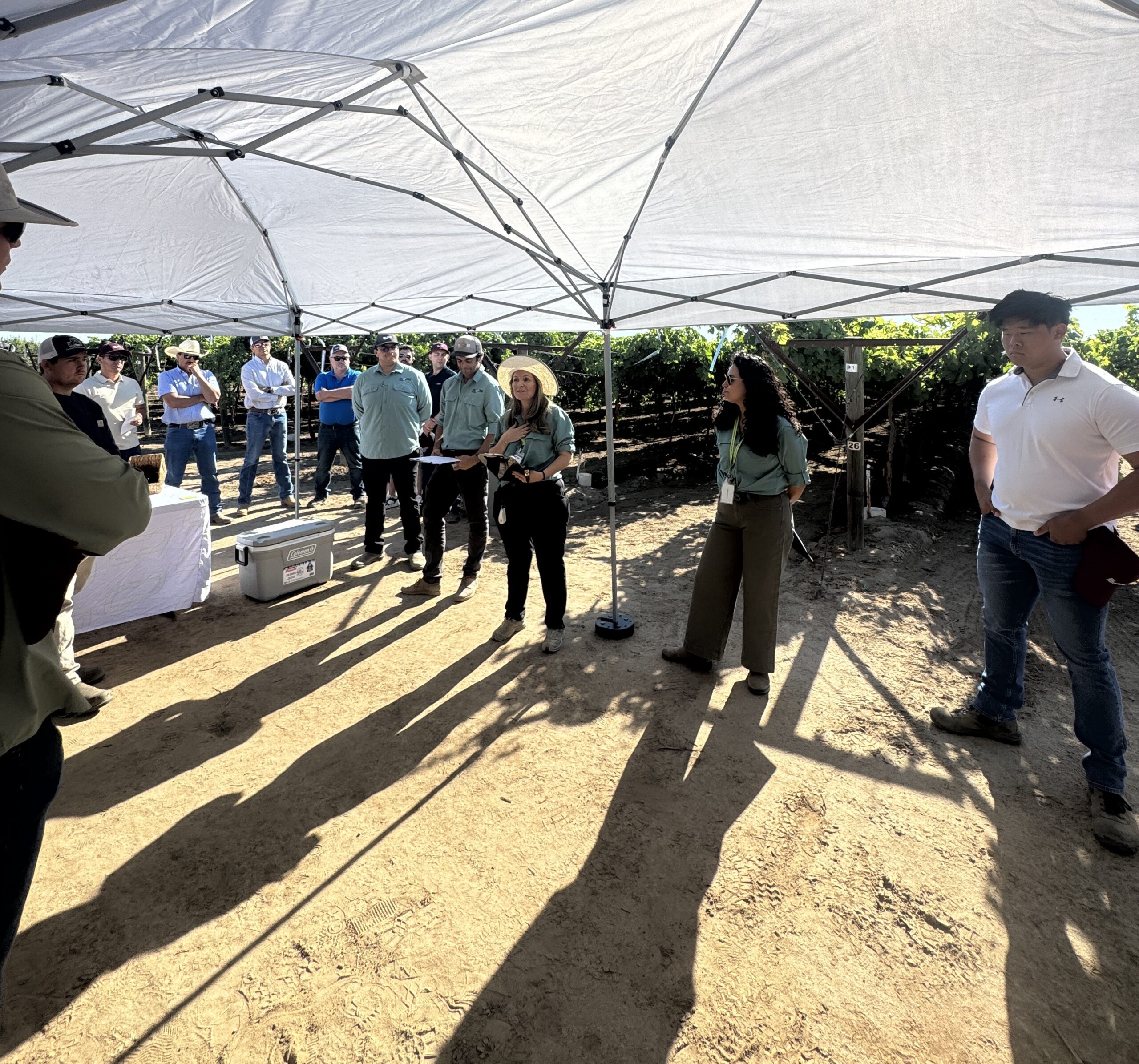 Sunridge Nurseries Field Day in California