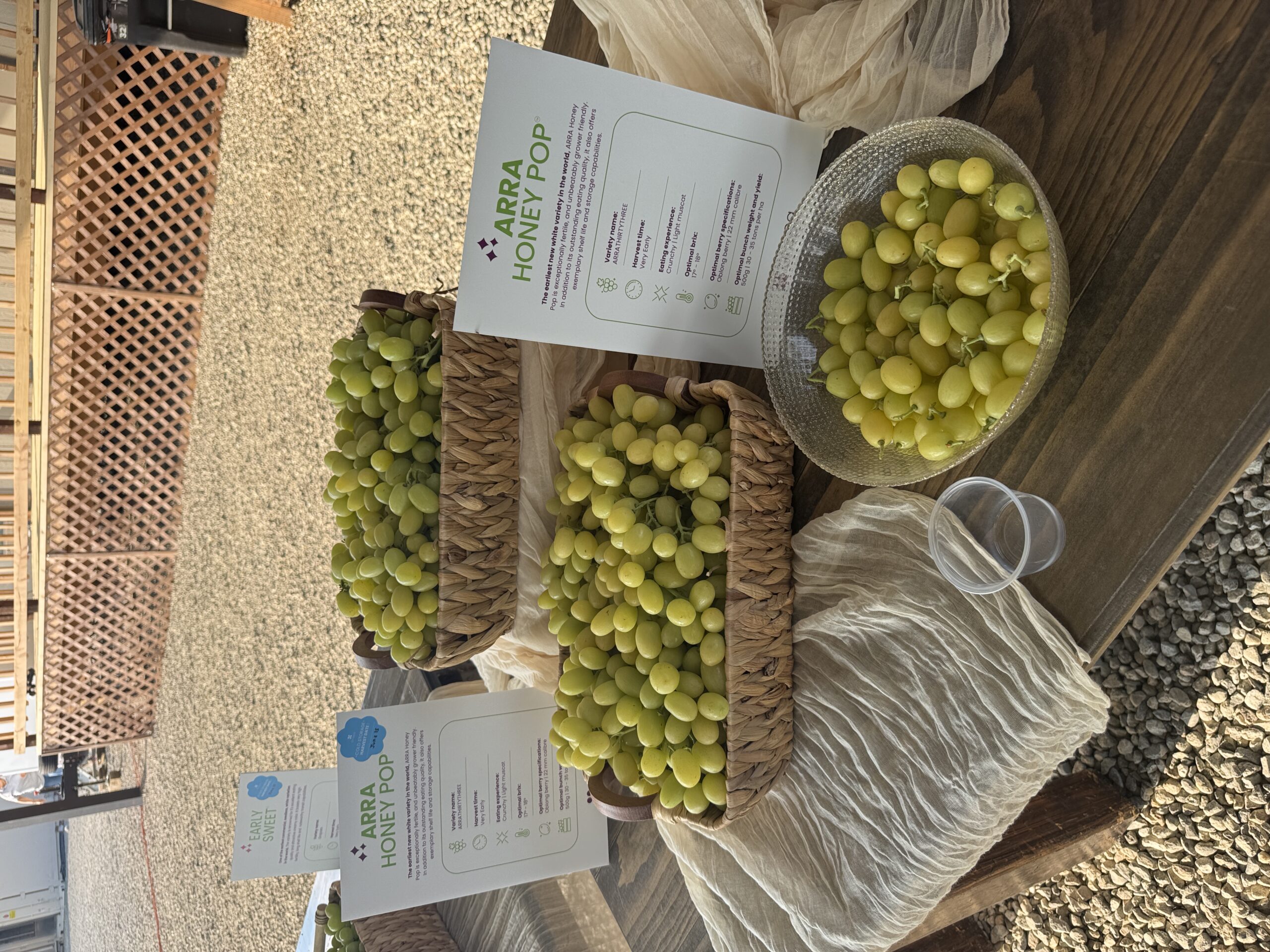 ARRA grapes featured at Grapa Global's Field Day in California