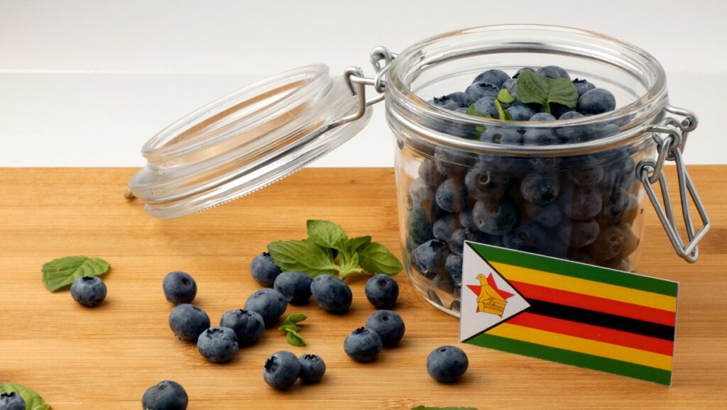 Zimbabwean blueberries are now authorized to hit the Chinese market