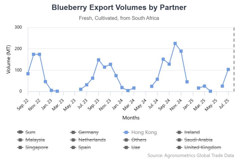 Zimbabwe beats South African in securing zero-tariff access for blueberries to China