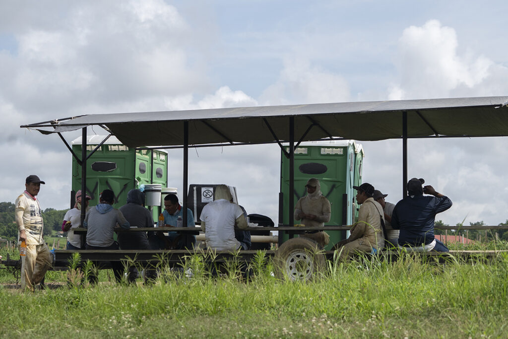 Heat-stress protection protocols for farm workers save lives in the fields 
