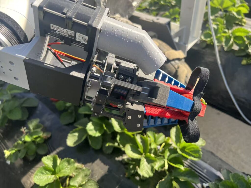 New robotic strawberry harvester hopes to address labor shortages