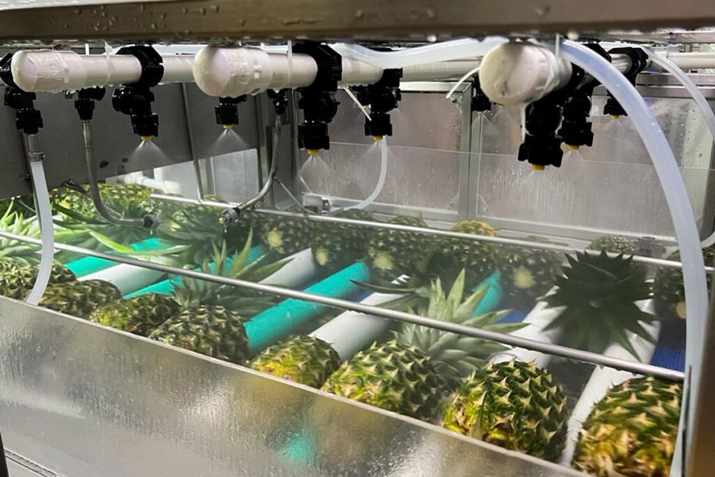 JBT Marel is automating pineapple wax dosing methods  