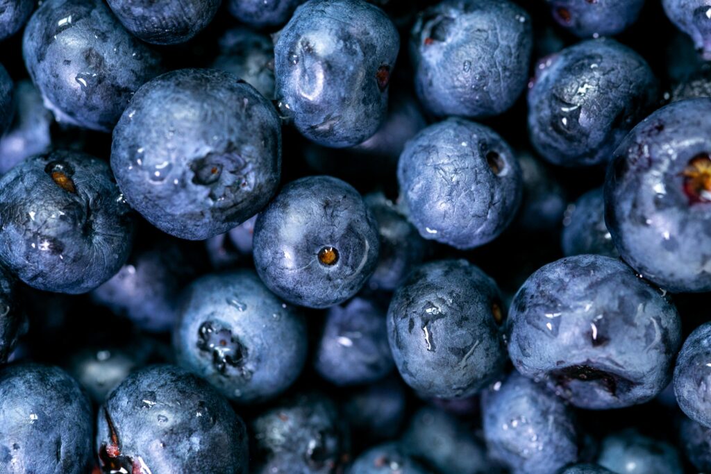 Blueberry varietal transition—the berry fine line separating premium fruit from market confusion