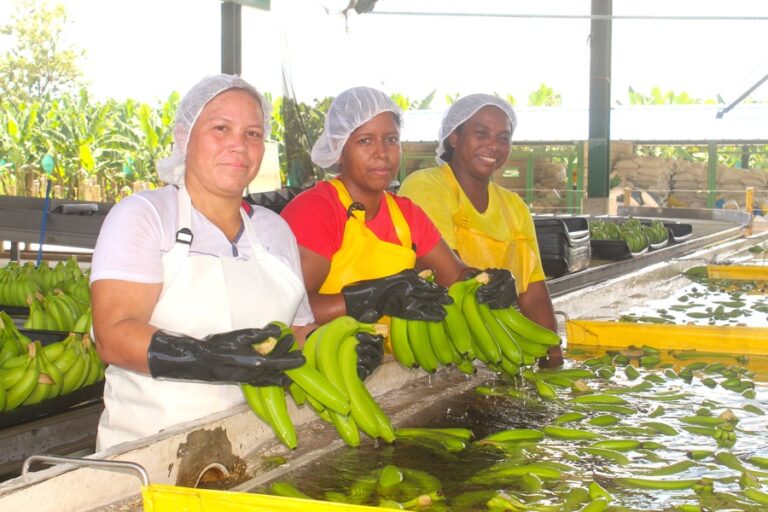 ASBAMA workers at banana processing plant