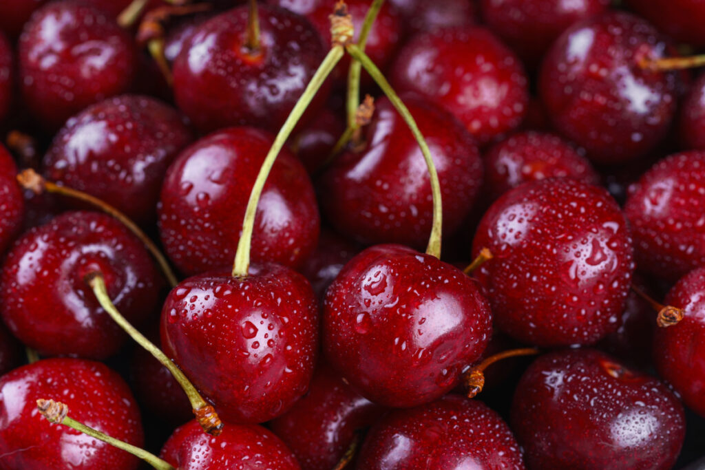 Wisconsin cranberry growers weather the perfect storm this season