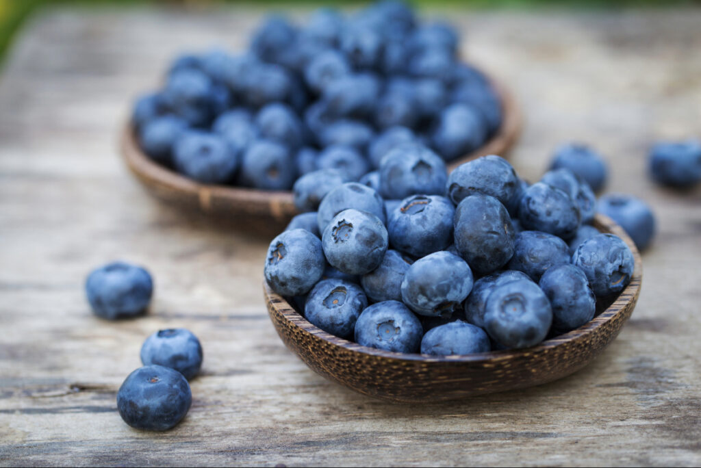 Peruvian blueberry sector updates 2025 export outlook with shorter season and volume decrease