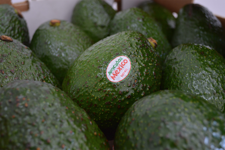 Avocado from Mexico