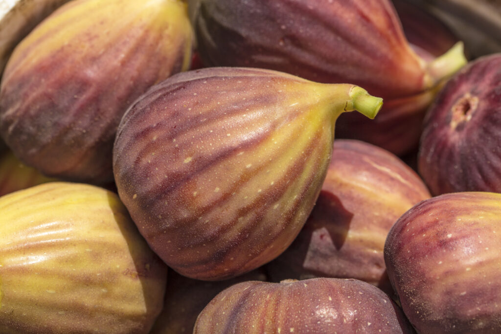 California fig industry keeps pace amid delayed start