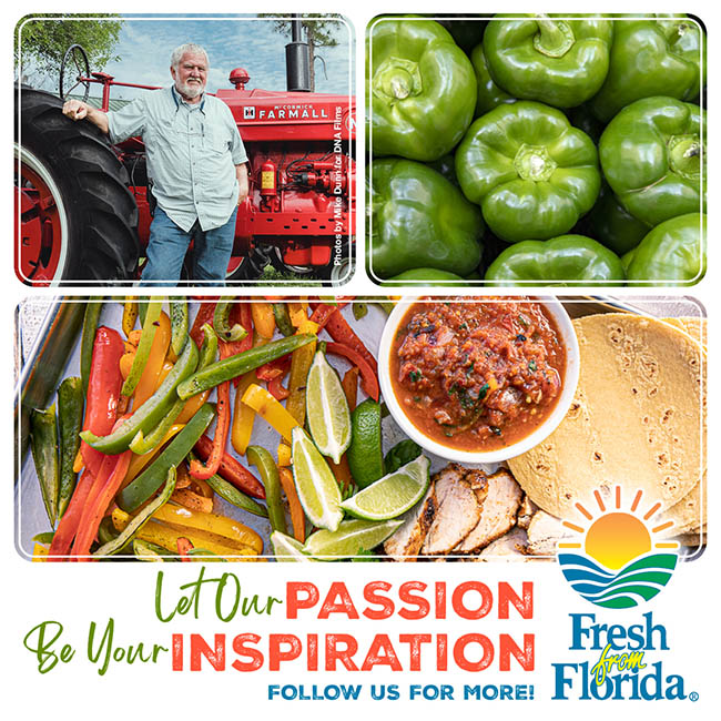 Fresh from Florida graphic