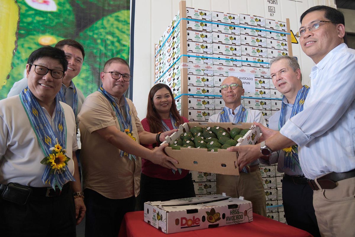 Peruvian Hass avocados unlock long-awaited market access to the Philippines