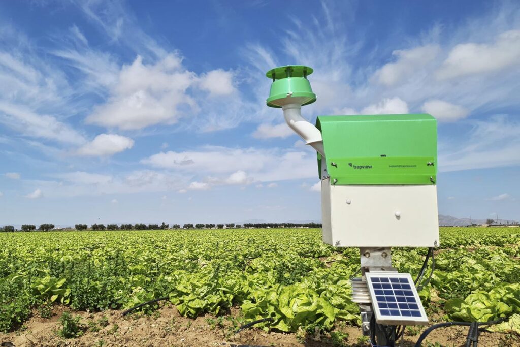 From field to forecast: How Trapview is revolutionizing pest management in agriculture