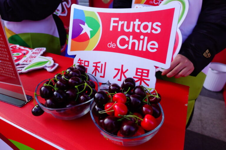 Chilean cherries campaign, Frutas de Chile