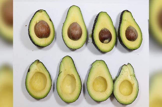 Westfalia Fruit trials AgroSustain's Afondo bio-boating for more sustainable avocado and lime supply chains