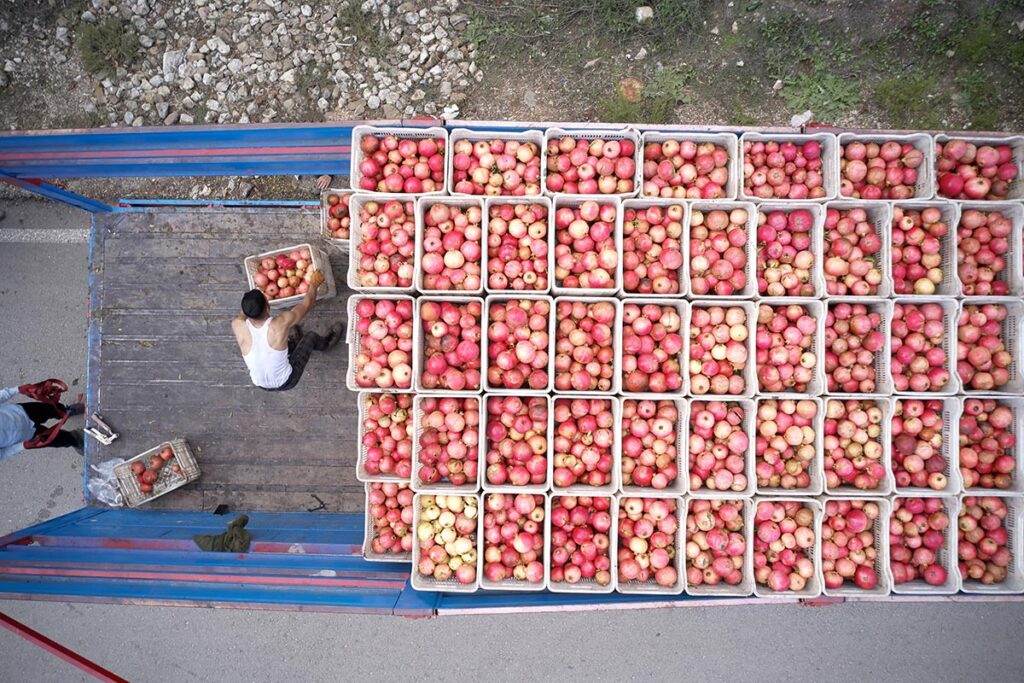 Is your company safe? Industry leaders release guide with 5 strategies for produce fraud prevention