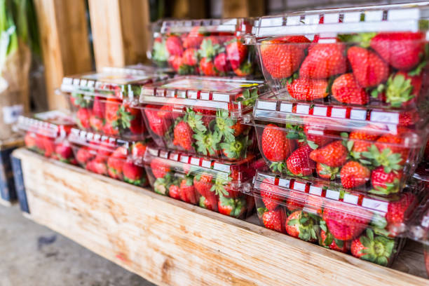 True sustainability comes from functional, high-performing fresh produce packaging, report says
