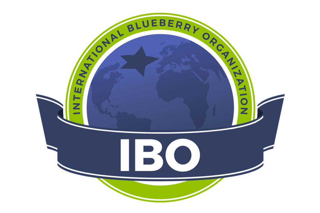 IBO Summit 2025: A resounding success in South Africa, paving the way for sustainable blueberry growth