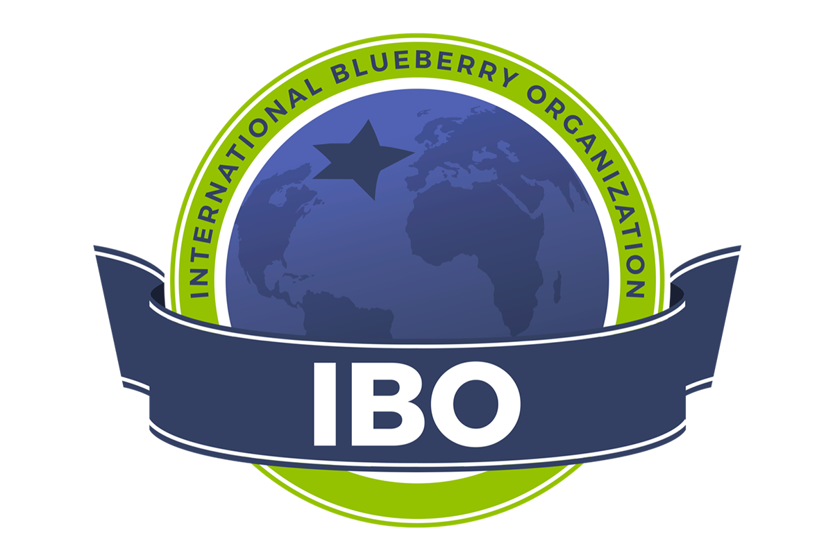 IBO Summit 2025: A resounding success in South Africa, paving the way for sustainable blueberry growth