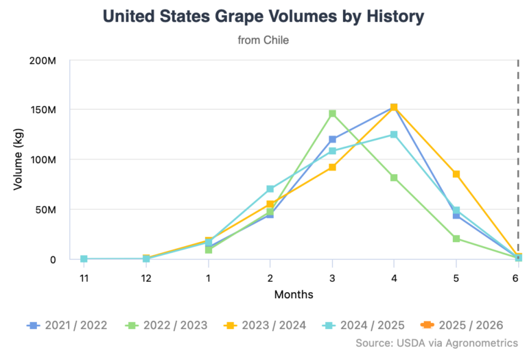 Chilean table grape industry