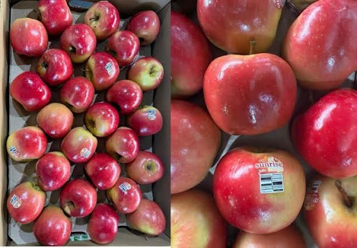 Magic under pressure: New Aussie apple variety impresses in tough debut season