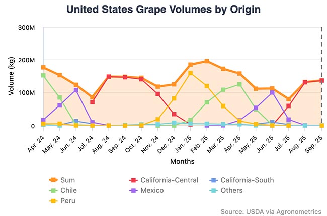 table grape market in the US by agronometrics