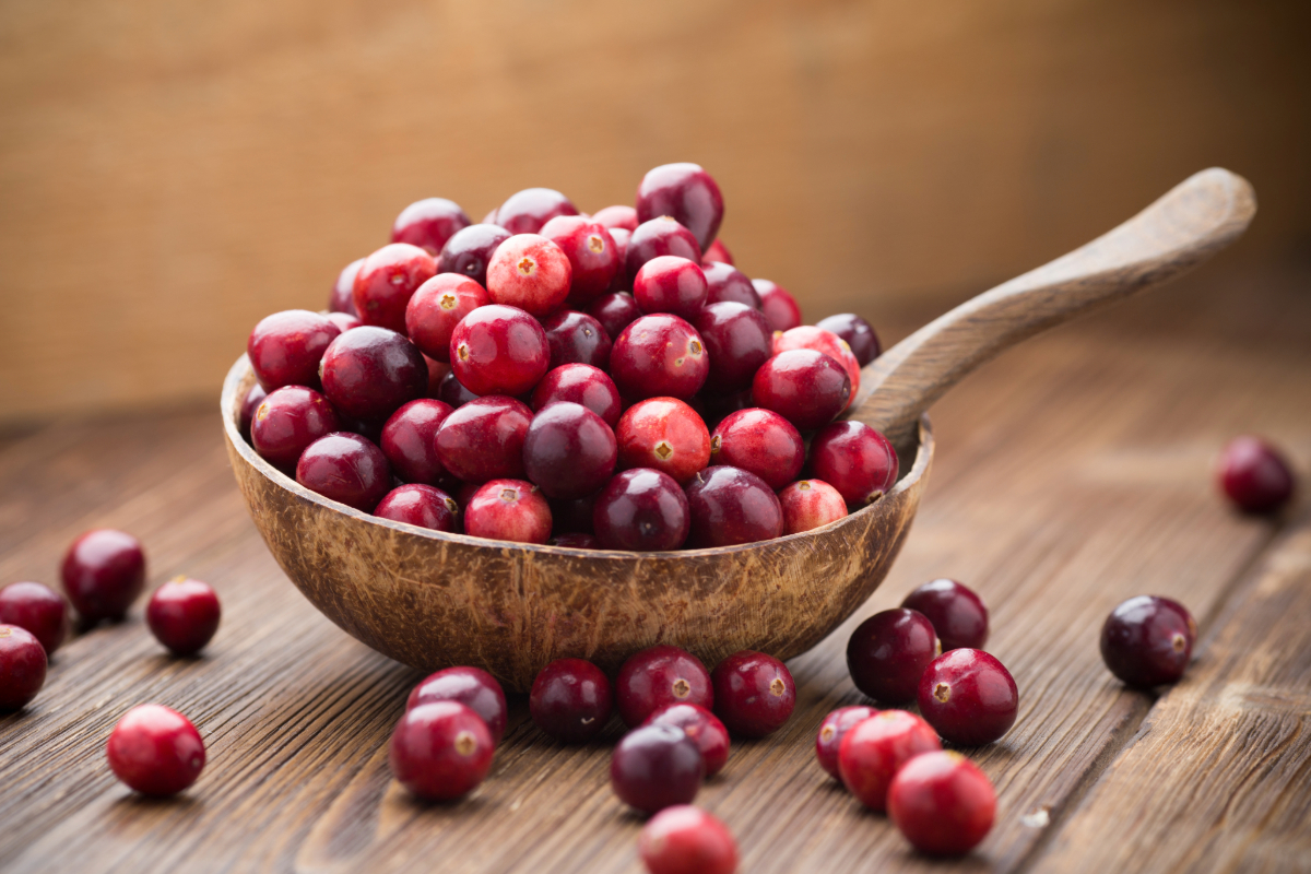 Sustainable cranberry farming: Dry-harvested Dutch berries power Eosta’s season extension