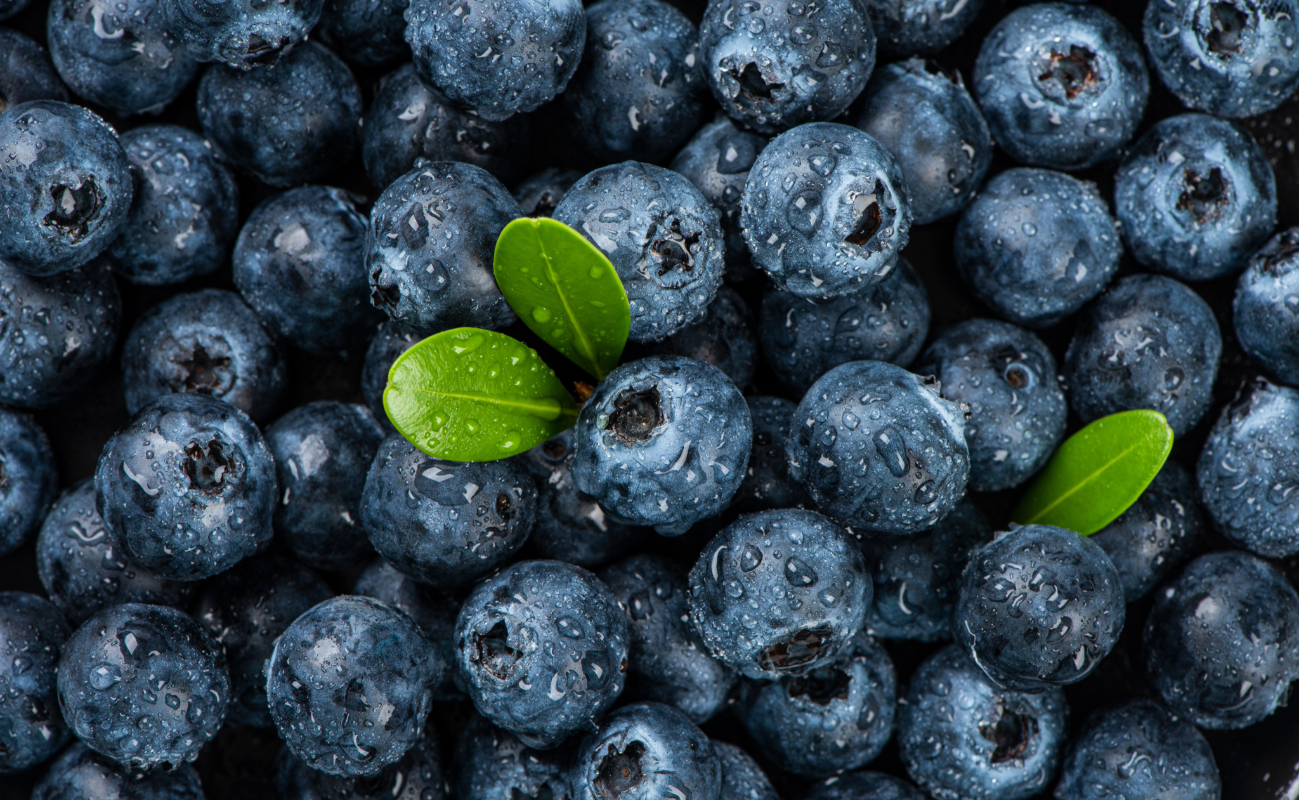The blueberry global market boom: consumption, production, and leading markets